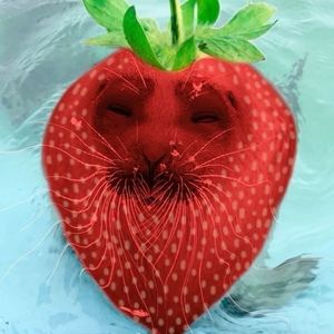 Meet your Posher, Yukiicutie